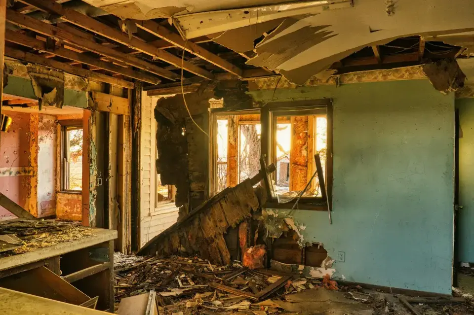 Concord's Trusted Environmental & Mold Removal Experts — Concord, CA