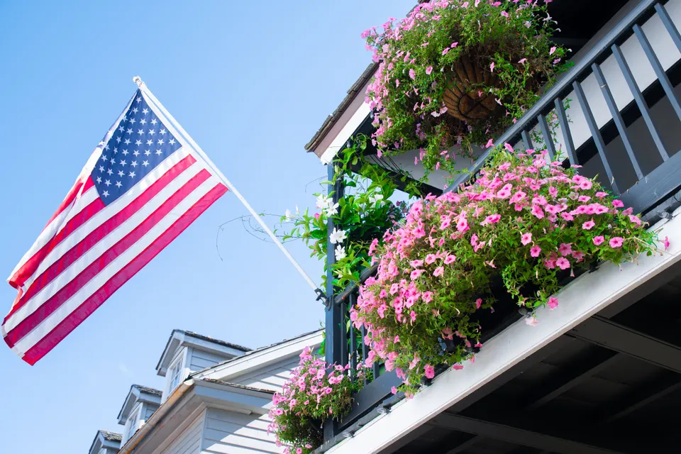 Lafayette — mold removal